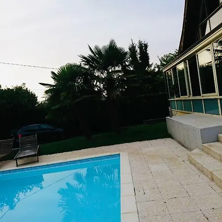 فيلة Belle Petite Bearnaise *