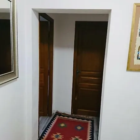 فيلة Belle Petite Bearnaise *
