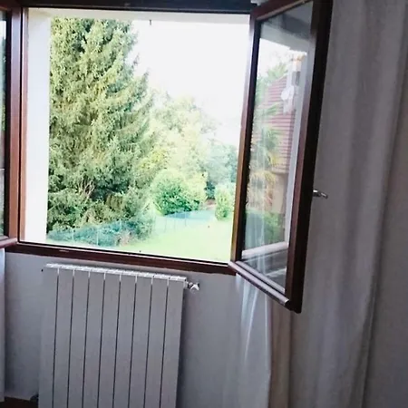 فيلة Belle Petite Bearnaise Caubios-Loos