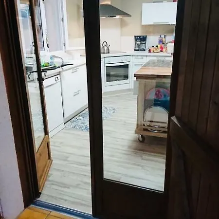 فيلة Belle Petite Bearnaise *